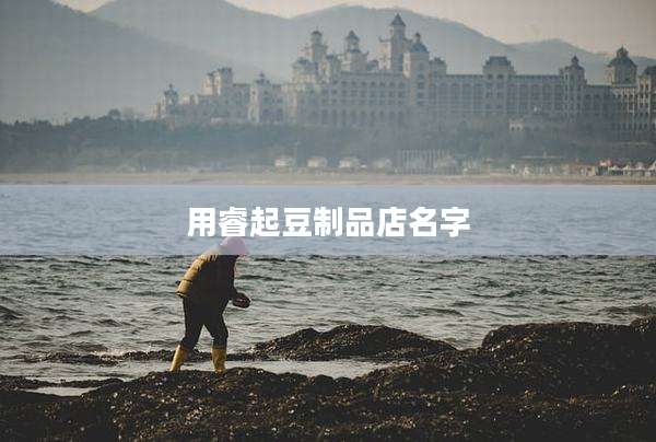 用睿起豆制品店名字