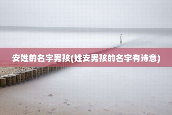 安姓的名字男孩(姓安男孩的名字有诗意)