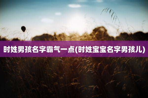 时姓男孩名字霸气一点(时姓宝宝名字男孩儿)
