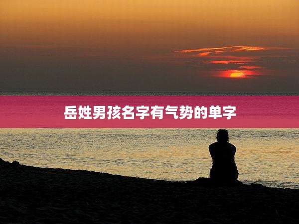 岳姓男孩名字有气势的单字