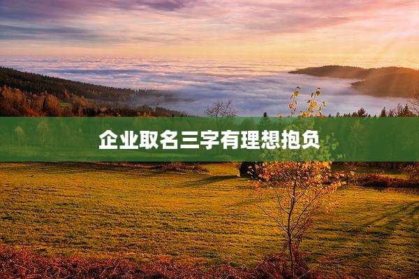 企业取名三字有理想抱负