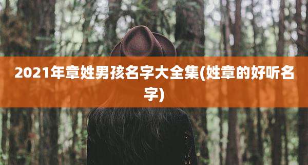 2021年章姓男孩名字大全集(姓章的好听名字)