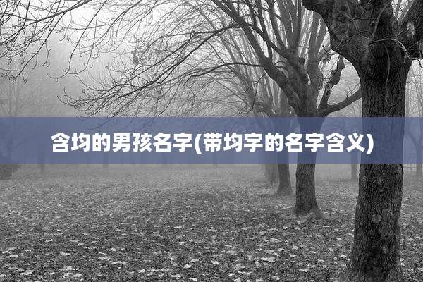 含均的男孩名字(带均字的名字含义)