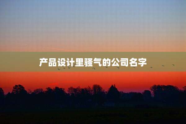 产品设计里骚气的公司名字