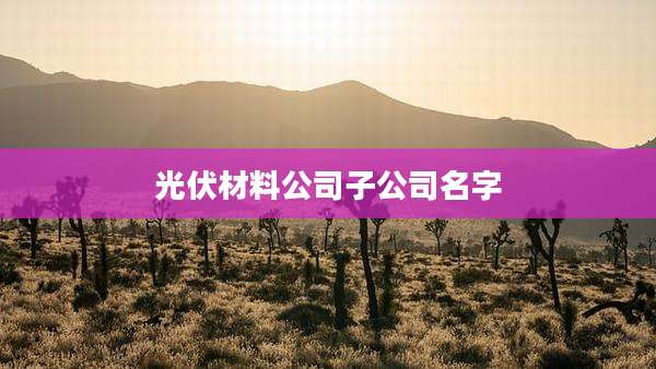 光伏材料公司子公司名字