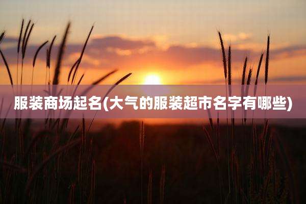 服装商场起名(大气的服装超市名字有哪些)