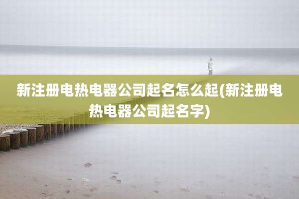 新注册电热电器公司起名怎么起(新注册电热电器公司起名字)