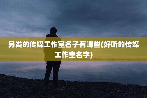 另类的传媒工作室名子有哪些(好听的传媒工作室名字)