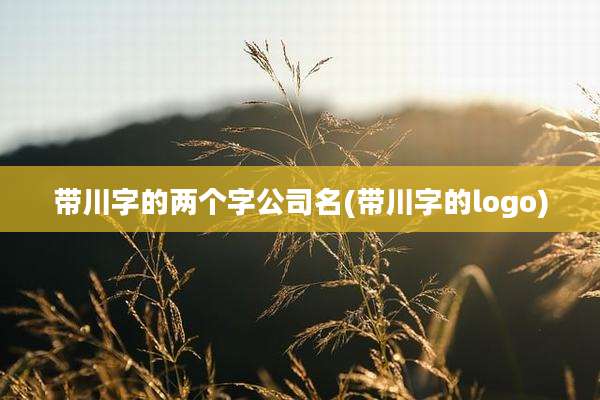 带川字的两个字公司名(带川字的logo)