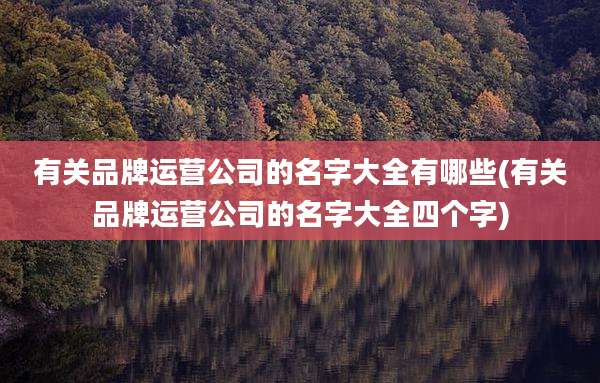 有关品牌运营公司的名字大全有哪些(有关品牌运营公司的名字大全四个字)