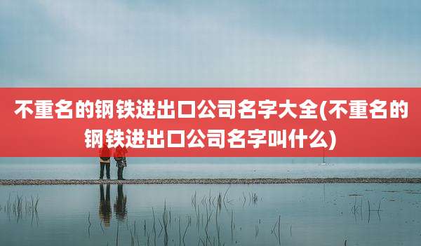 不重名的钢铁进出口公司名字大全(不重名的钢铁进出口公司名字叫什么)