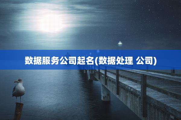 数据服务公司起名(数据处理 公司)