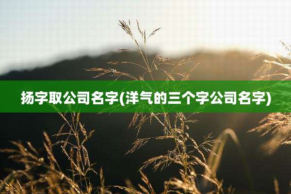 扬字取公司名字(洋气的三个字公司名字)