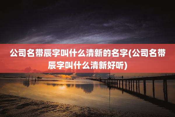 公司名带辰字叫什么清新的名字(公司名带辰字叫什么清新好听)