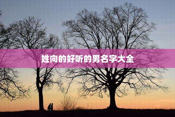 姓向的好听的男名字大全