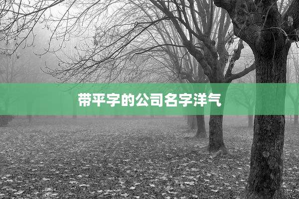 带平字的公司名字洋气