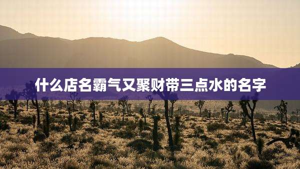 什么店名霸气又聚财带三点水的名字
