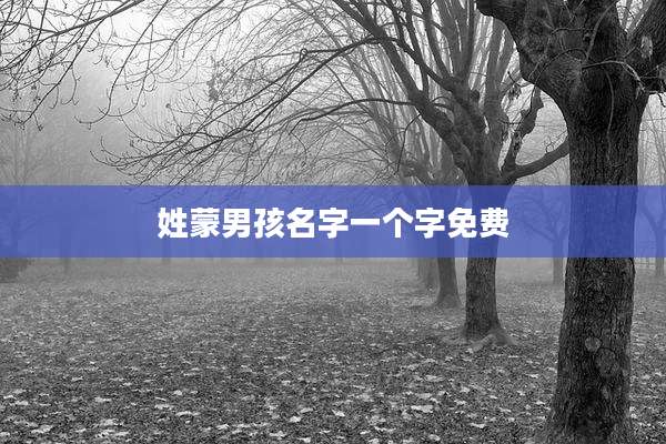 姓蒙男孩名字一个字免费