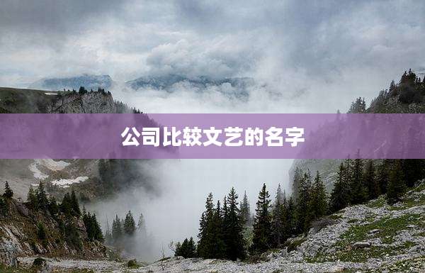 公司比较文艺的名字