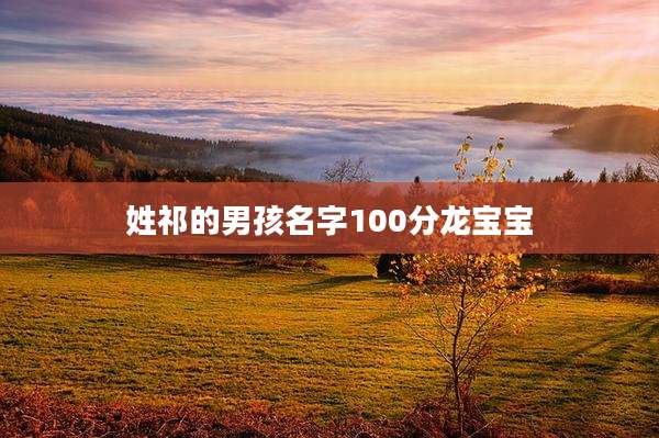 姓祁的男孩名字100分龙宝宝