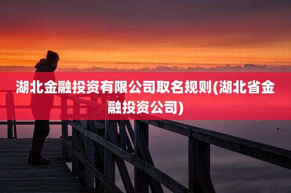 湖北金融投资有限公司取名规则(湖北省金融投资公司)