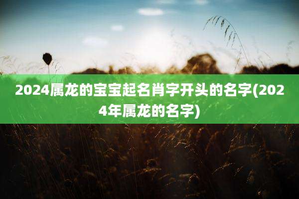 2024属龙的宝宝起名肖字开头的名字(2024年属龙的名字)