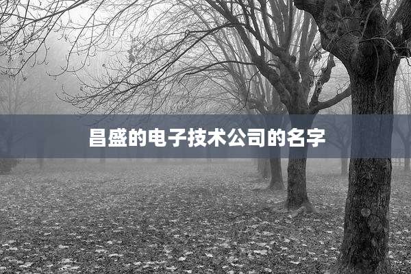 昌盛的电子技术公司的名字