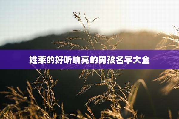 姓莱的好听响亮的男孩名字大全
