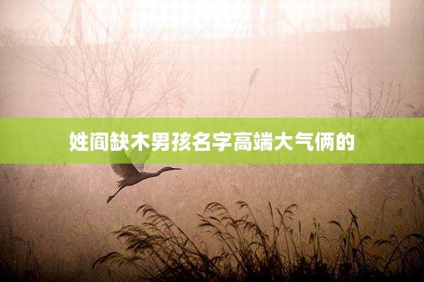 姓阎缺木男孩名字高端大气俩的