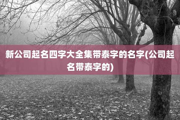 新公司起名四字大全集带泰字的名字(公司起名带泰字的)