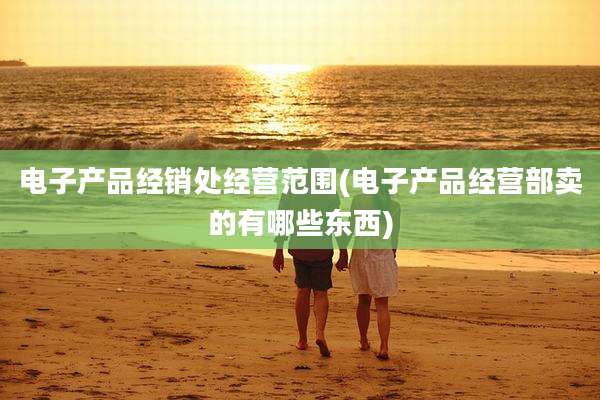 电子产品经销处经营范围(电子产品经营部卖的有哪些东西)