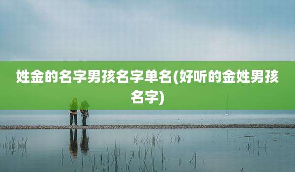 姓金的名字男孩名字单名(好听的金姓男孩名字)