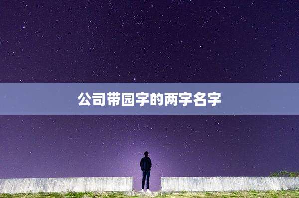 公司带园字的两字名字