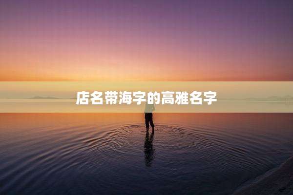 店名带海字的高雅名字