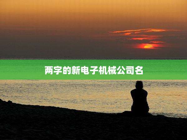 两字的新电子机械公司名
