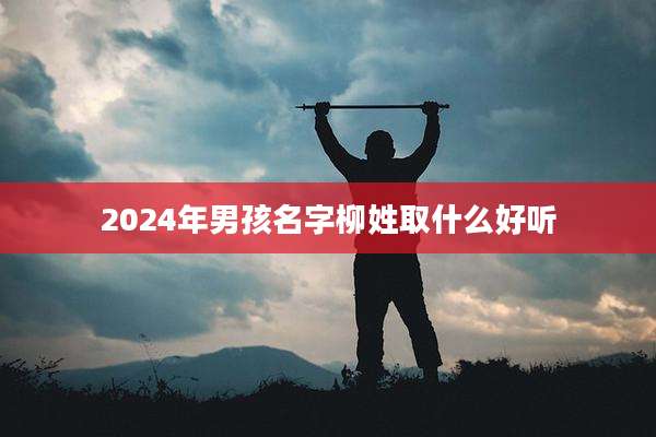 2024年男孩名字柳姓取什么好听