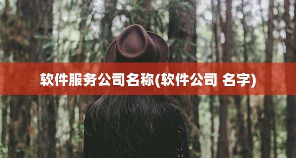 软件服务公司名称(软件公司 名字)