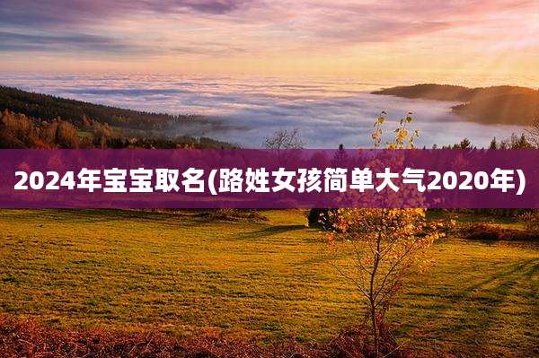 2024年宝宝取名(路姓女孩简单大气2020年)