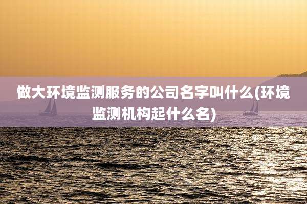 做大环境监测服务的公司名字叫什么(环境监测机构起什么名)