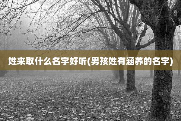 姓来取什么名字好听(男孩姓有涵养的名字)