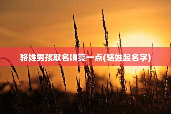 骆姓男孩取名响亮一点(骆姓起名字)