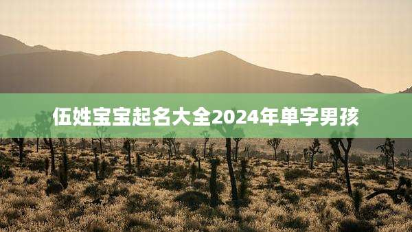 伍姓宝宝起名大全2024年单字男孩