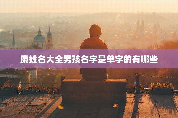 廉姓名大全男孩名字是单字的有哪些