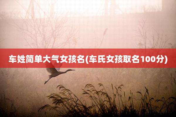 车姓简单大气女孩名(车氏女孩取名100分)