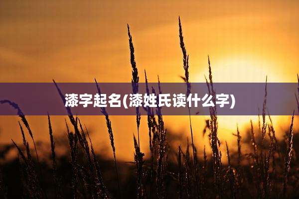 漆字起名(漆姓氏读什么字)