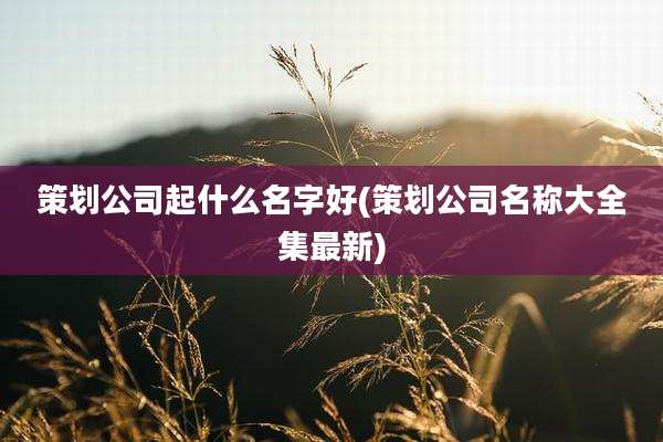 策划公司起什么名字好(策划公司名称大全集最新)