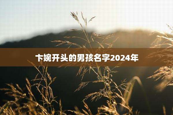 卞婉开头的男孩名字2024年
