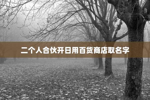二个人合伙开日用百货商店取名字