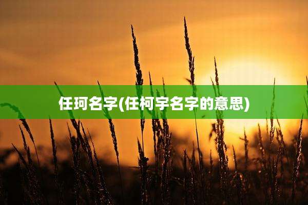 任珂名字(任柯宇名字的意思)