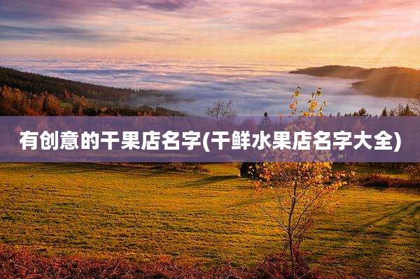 有创意的干果店名字(干鲜水果店名字大全)